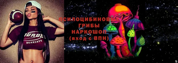 стаф Балахна