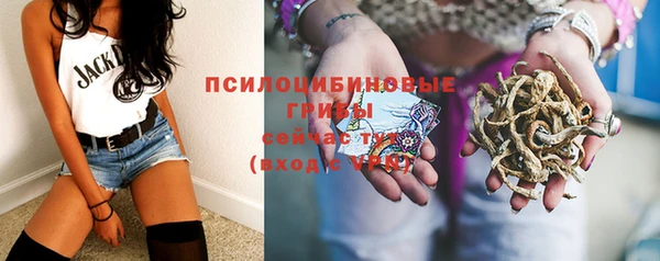 ПСИЛОЦИБИНОВЫЕ ГРИБЫ Арсеньев