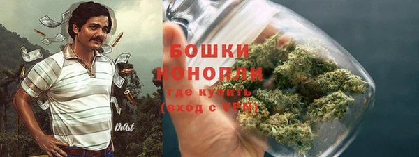 стаф Балахна