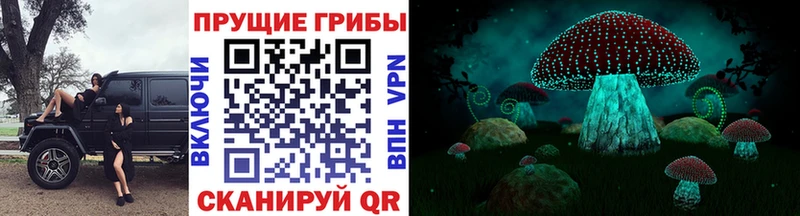MEGA ТОР  где найти   Нурлат  Галлюциногенные грибы MAGIC MUSHROOMS 